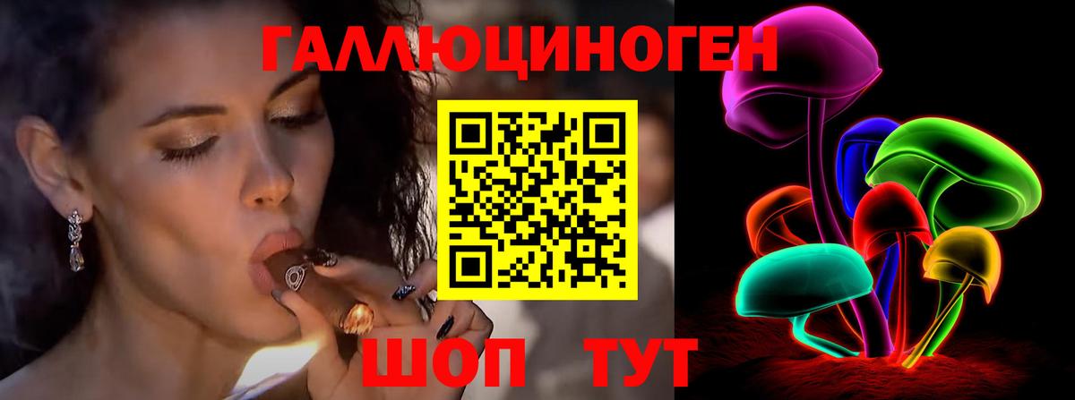 Галлюциногенные грибы Psilocybine cubensis  Псилоцибиновые грибы ЛСД  Вход с VPN  Красный Сулин 